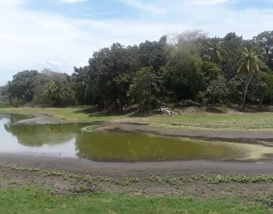 Según los residentes, la laguna de Ticamaya se ha convertido "en un sumidero"