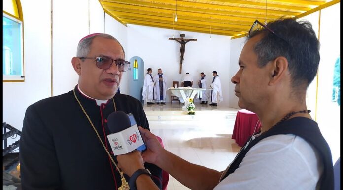 Con polémica incluida: Cardenales de Lara listo para arrancar la temporada  de la LVBP 23-24 (+Fotos) - Noticias Barquisimeto