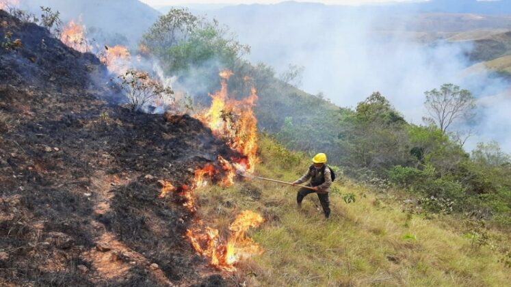 Bolivia Incendios Forestales Arrasan Millones De Hectáreas De Tierra Y