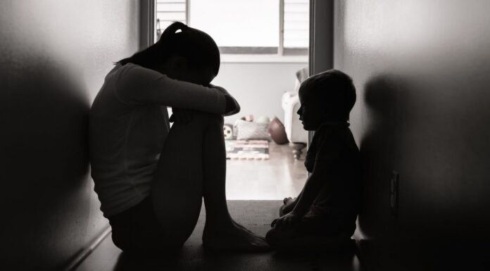 Violencia Vicaria